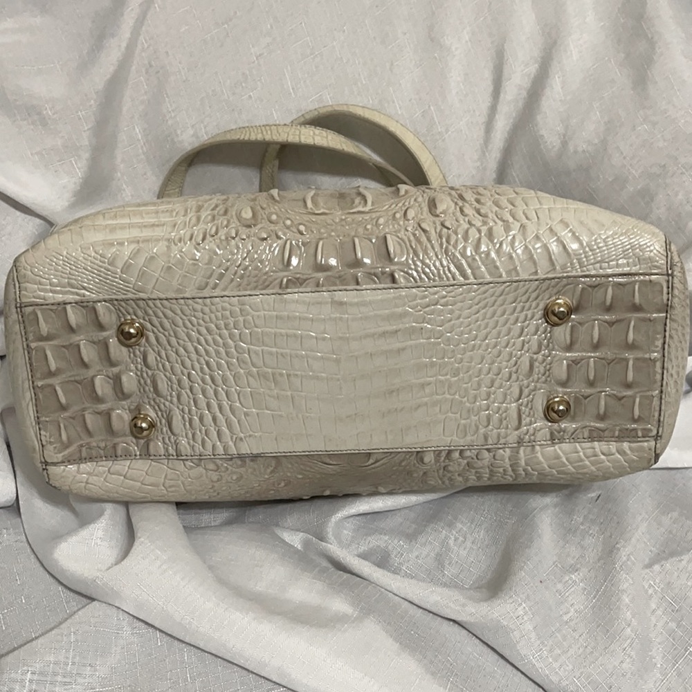 Brahmin - Picture 4 of 11